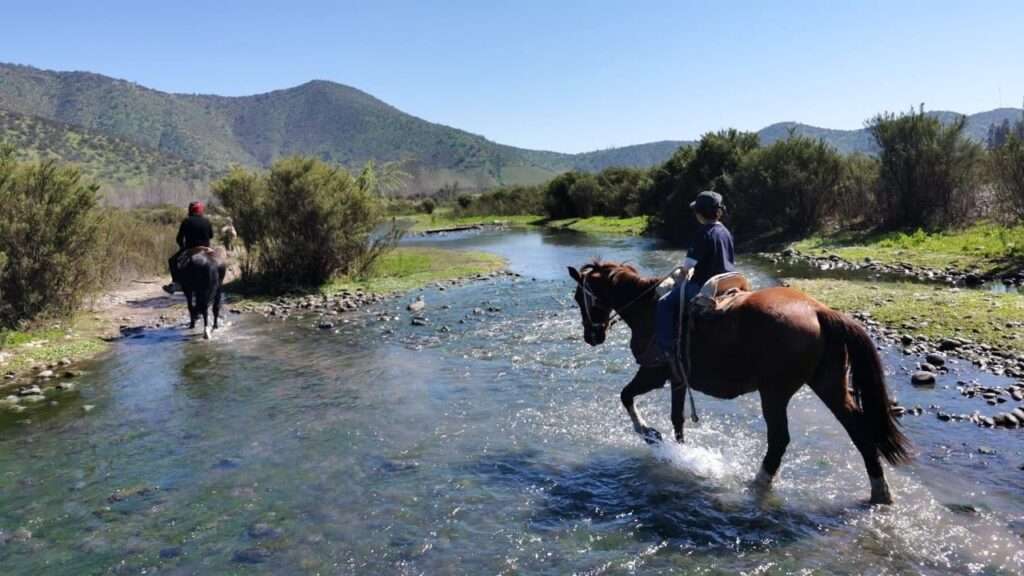 Horseback excursion, barbecue and wine tasting on the Maipo river bank