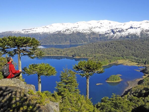 Turista meditando frente a lagos y montañas en Reserva Huilo Huilo, sur de Chile