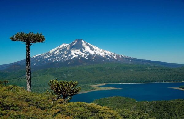 Volcán Mocho-Choshuenco con nieve, rodeado de bosques y lagos en la Región de los Ríos